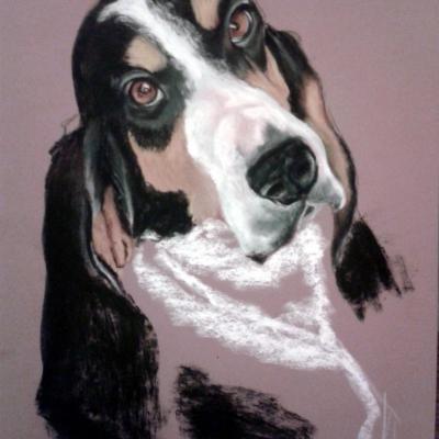 chien de chasse